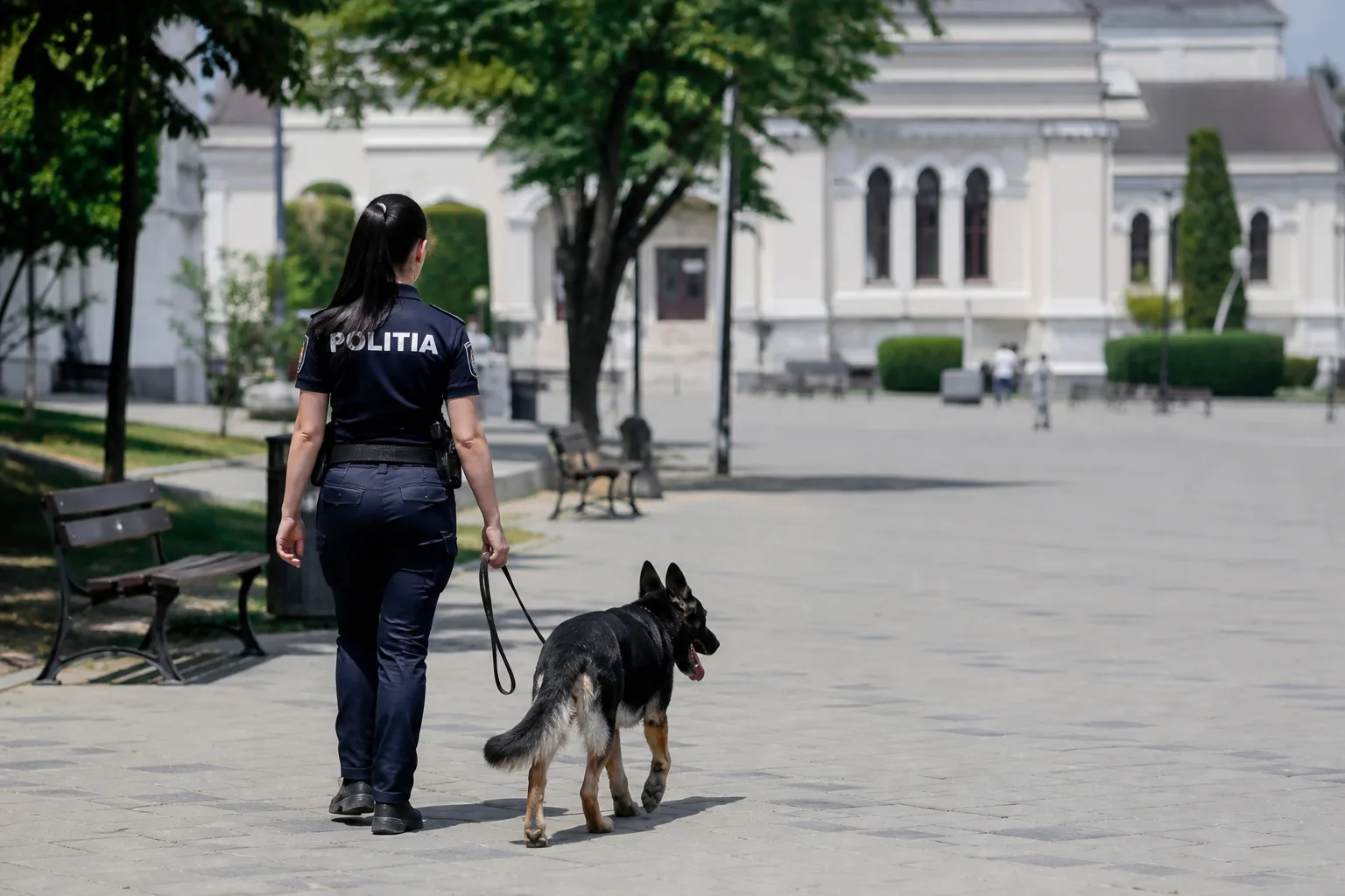 Olt: polițiștii pentru protecția animalelor, acțiuni de informare pe caniculă